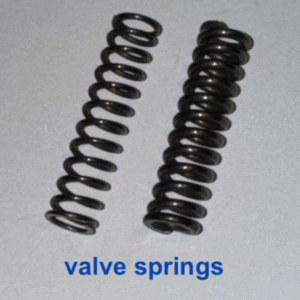 Valve springs